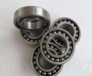 306/C4 Bearing